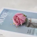 Detailansicht eines rosa Seifenrosen-Blütenkopfs mit grünem Boden für DIY-Sträuße - Dreischichtiger Kopf / Lotusrosa