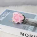 Detaillierte Nahaufnahme eines rosa Seifenrosenkopfes mit grünem Sockel für DIY-Sträuße - Dreischichtiger Kopf / Hellrosa