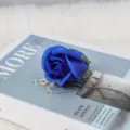 Blaue dreilagige Seifenrosenköpfe mit grünem Sockel für DIY Valentinstag-Sträuße - Dreischichtiger Kopf / Saphirblau