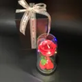Preserved red rose in glass dome with warm LED string lights and premium black gift box - Black Hard Gift Box - Glass Dome With Warm Light / Red