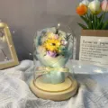 Cúpula de vidrio transparente lámpara de girasol flor eterna para regalo de cumpleaños romántico. - Cúpula de cristal grande con base de madera / Azul claro