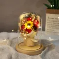 Transparante glazen koepel roos bloem lamp geconserveerde bloem LED licht cadeau decor - Rood