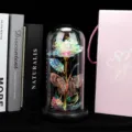 Rosa eterna cúpula de cristal con mariposa y luces LED regalo romántico para San Valentín - Mando USB trébol dorado y mariposa calada (base negra)