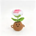 Handmade crochet potted flower cute knitted rose desk decor aesthetic gift ornament - Rose Smiley Face Potted Plant