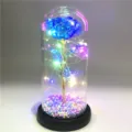 Detailansicht einer ewigen blauen Rose in einer Glaskuppel mit bunten LED-Lichterketten Dekoration - Macaron-Blau (Schwarzer Sockel)