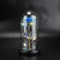 Detailansicht einer leuchtenden Galaxie-Rose in einer Glaskuppel für Geschenke - Blau (Schwarzer Sockel, Klee, Buntes Licht)