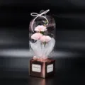 Belle boîte cadeau de fleurs de savon d'œillet artificiel dans un emballage transparent. - Boîte Cadeau 3 Œillets / Rose Clair