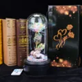 Detailed macro view of colorful galaxy rose in glass dome with decorative gift box - Rotating Music Box+USB Remote+Hugging Couple / Rainbow Gold