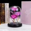 Rosas de galaxia iridiscentes eternas en cúpula de vidrio con luces LED y caja de regalo - Cúpula de Vidrio Grande + 3 Flores de Pan de Oro + Cable USB / Rosa