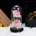 Dos rosas eternas rosas en cúpula de vidrio con luces LED y bolsa de regalo negra - Adorno de Cúpula de Vidrio de Rosa de Franela (Incluye Cable USB y Césped Artificial) / Rosa