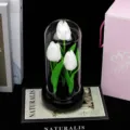 Glass dome white tulip night light artificial flower home decor desktop ornament gift box - White Tulips with Lights