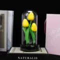 Glass dome tulip night light artificial flower decorative small ornament for home bedroom desk decor - Yellow Tulip with Light