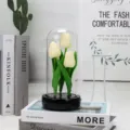Dôme en verre tulipe fleur artificielle veilleuse décoration maison cadeau romantique - Boîte à musique rotative, tulipe blanc cassé avec lumière