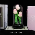 Glass dome tulip night light artificial flower table decor romantic gift ornament lamp - Champagne Pink Tulip with Light