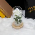 Vista detallada de rosa blanca artificial en cúpula de cristal con luces LED. - 1 Rosa de Franela Cúpula de Vidrio Base Madera Natural Blanco Alimentación USB