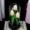 Veilleuse dôme en verre tulipe artificielle vue de détail, décoration florale lumineuse. - Boîte à musique tulipe rotative (Champagne avec lumière)