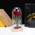 Detalle del set de regalo de rosa de terciopelo con cúpula de cristal LED y bolsa - 1 Rosa de Franela Cúpula de Vidrio Base Madera Natural Rojo Alimentación USB