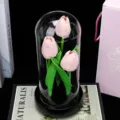 Dôme en verre tulipe rose de simulation ornement cadeau romantique décoration d'intérieur - Tulipe rose avec lumière