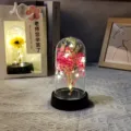 Λεπτομέρεια φωτός νυκτός γυάλινου θόλου με LED διατηρημένη γυψοφύλη και λουλούδια. - Γεωμετρικό Γυψοφίλη / Με Κουτί / Ροζ