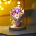 Ewige Seifenrose in Glasglocke mit LED Lichterkette romantisches Geschenk fur Damen Geburtstag - BL 3 Rosen (Violett-Weiß)