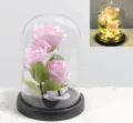 Trois roses romantiques en velours rose sous cloche en verre avec guirlande lumineuse LED - Trois Roses Rondes / Grand Dôme en Acrylique / Rose