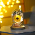 Sonnenblumen Glas Kuppel LED Nachtlicht Romantisches Geschenk Holzbasis Deko - BL große Sonnenblume & Rose