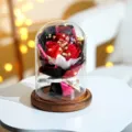 Elegante rote konservierte Rosen im Glasdom mit warmen LED-Lichterketten auf Holzsockel - 3 Rosen Rot