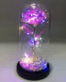 Zauberhafte Galaxie-Rose in einer Glaskuppel mit bunten LED-Lichtern für die Dekoration - Macaron-Rosarot (Schwarzer Sockel)