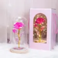 Rosa de lámina de oro en cúpula de cristal con luces LED y caja de regalo ideal. - Rosa