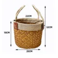 Handwoven seagrass storage basket with rope handles and dimensions for home organization. - L / Natural Color