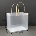 Clear frosted plastic tote bag with size specifications 30x20x27cm for packaging - Large Rectangular Bag / 30x20x27cm