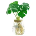Elegante jarrón hidropónico de cristal transparente con tapa de corcho para oficina - Estilo Pequeño (Con Corcho Perforado)