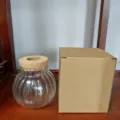 Vaso idroponico in vetro trasparente con tappo in sughero, semplice contenitore da tavolo per piante. - Vaso rotondo piccolo a costine in confezione