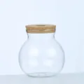 Vaso terrario in vetro trasparente con tappo in sughero per piante idroponiche. - Barattolo rotondo piccolo (coperchio perforato)