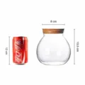 Clear glass terrarium jar with cork lid 1000ml hydroponic plant vase for home decoration - Medium Round Jar (Perforated Lid)