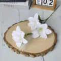 Macro view of white artificial lily flowers displayed on a rustic wooden slab - White
