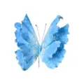 Nahaufnahme des blauen Marmormusters auf dem 3D-Deko-Schmetterling für Hochzeiten - Schmetterling-Design / Hellblau