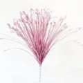 Elegant artificial pink onion grass spray for wedding and home floral decoration - 70cm Length / Dyed Pink