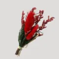 Détail de petit bouquet de fleurs séchées, queues de lapin rouges et feuillage vert cadeau déco. - Roseaux rouges