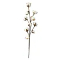 Bouquet de Fleurs Séchées de Branche de Coton Artificiel à 10 Têtes Décoration Maison - Tige de coton unique à 10 têtes