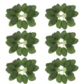 Packung mit 20 künstlichen sechsblättrigen Seidenblättern für die Blumendekoration im Haus - 20 Stück
