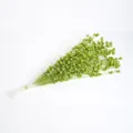 Ramo de 50 tallos de bayas con purpurina verde para decoraciones florales navideñas - 50 piezas bolsa / Verde