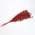 Ramo de 50 tallos con bolas de purpurina roja para decoraciones navideñas - 50 piezas bolsa / Rojo