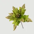 Detailaufnahme einer grünen künstlichen Weihnachtsblume mit goldenen Glitzerakzenten - Hellgrün