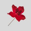 Fiore di magnolia rosso artificiale con dettaglio glitterato, perfetto per albero e ghirlanda. - Rosso
