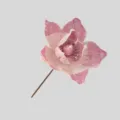 Dettaglio di magnolia glitterata rosa, perfetto per la decorazione natalizia e composizioni floreali. - Rosa chiaro