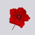 Fiore di Natale artificiale rosso decorazione, consistenza velluto ornamento floreale. - Rosso