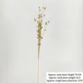 Artificial golden glitter berry branch for Christmas decoration with 70cm height - 70cm / Gold