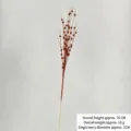 70cm Height 20-fork orange glitter foam berry stem for festive Christmas decoration - 70cm / Orange