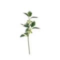 Rama de bayas verdes artificiales realistas con hojas jaspeadas para decoración navideña - 1 Pieza / Acebo de Borde Blanco con Bayas Verdes / 25cm